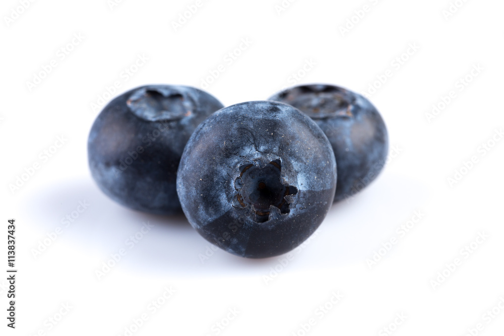 Blueberries on white background Blueberries on white background