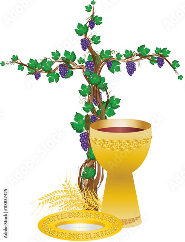 Eucharist symbols of bread and wine, chalice and host with wheat ears and grapes vine. FIrst communion christian color vector illustration.