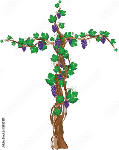 Floral grapevine cross, grape clusters on a vine tree in a shape of a cross. Christian religious graphic element with copy space for text.