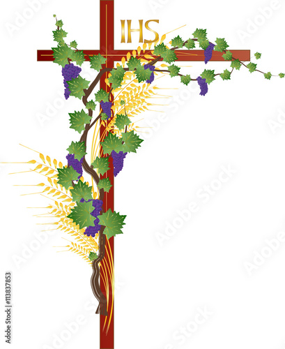 Eucharist symbols of bread and wine, wheat ears, grapes and vine on a cross. FIrst communion christian color vector illustration.
