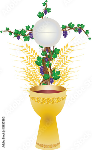 Eucharist symbols of bread and wine, cross, chalice and host with wheat ears and grapes vine. FIrst communion christian color vector illustration.