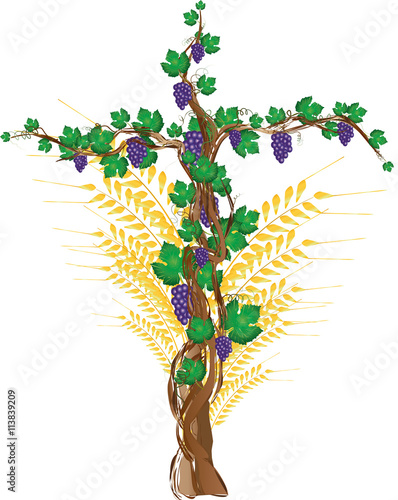 Floral cross with grapevine, grape clusters on a vine tree and wheat ears. Symbols of Eucharist and passion of Christ.