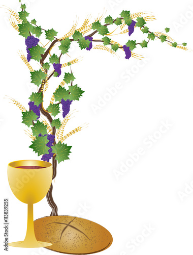 Eucharist symbols of bread and wine, chalice and host with wheat ears and grapes vine. FIrst communion christian color vector illustration.