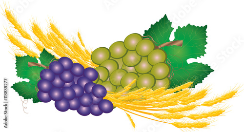 Eucharist symbols of bread and wine, wheat ears and grapes vine. FIrst communion christian color vector illustration.