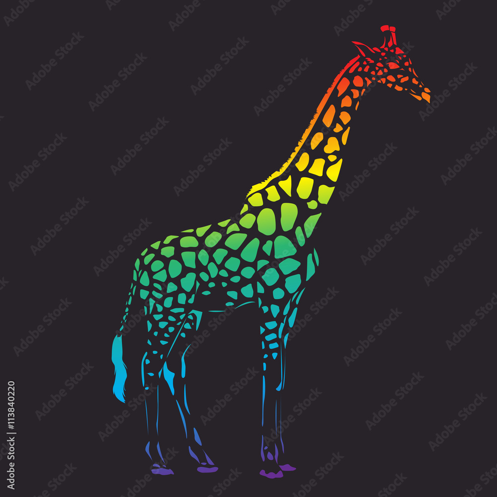 Obraz premium Vector raibow giraffe silhouette, abstract animal illustration. Safari giraffe can be used for background, card, print materials