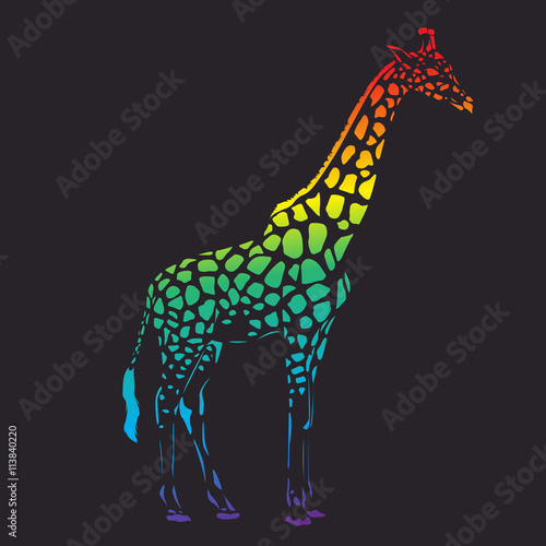 Vector raibow giraffe silhouette, abstract animal illustration. Safari giraffe can be used for background, card, print materials