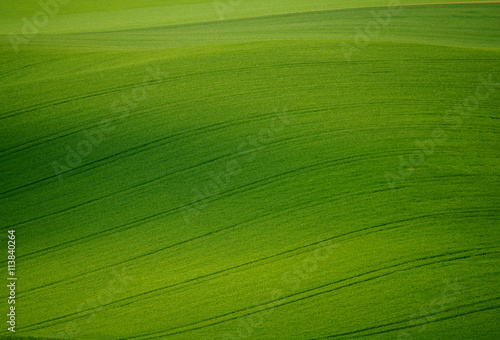 Green fields on hills