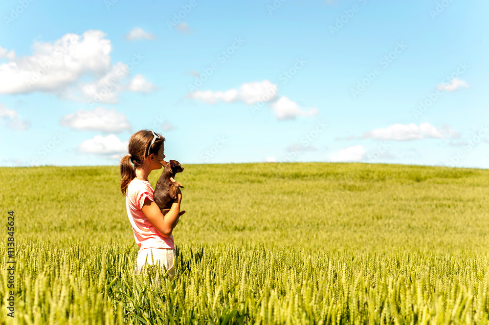 Young girl in wheat field holding dog contemplating the nature Young girl in wheat field holding dog contemplating the nature
