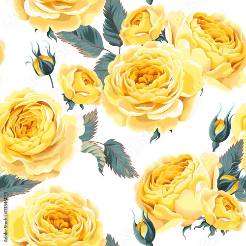 English roses seamless