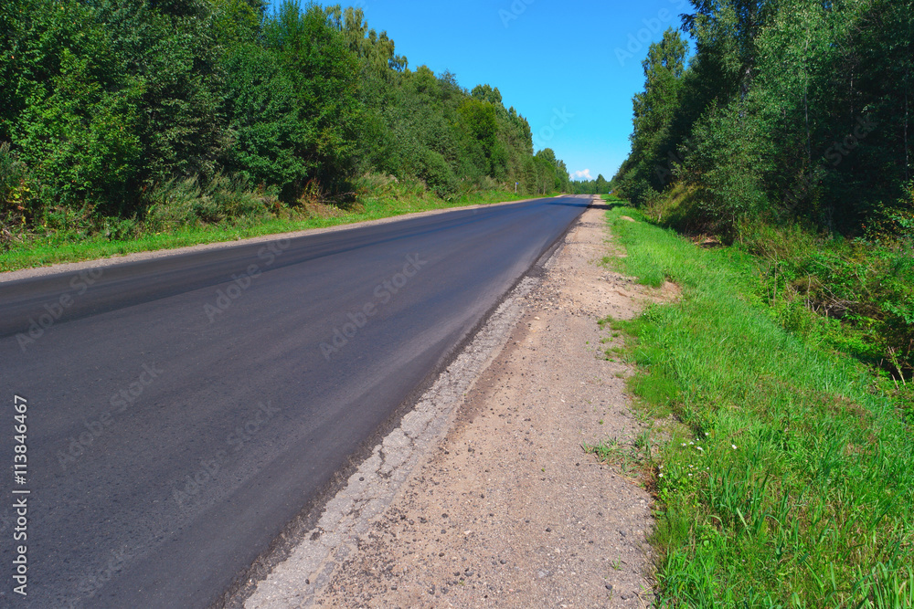 Empty highway through green forest