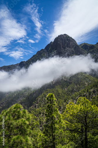 Wildnis auf la Palma  Caldera de Taburiente 