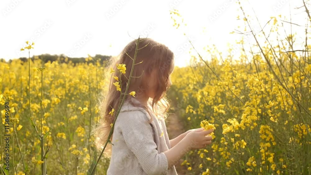 little girl picking flowers and playing with them little girl picking flowers and playing with them