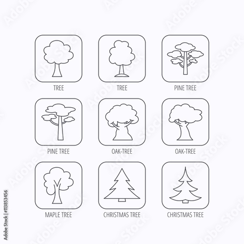 Pine tree, maple and oak icons. Christmas tree.