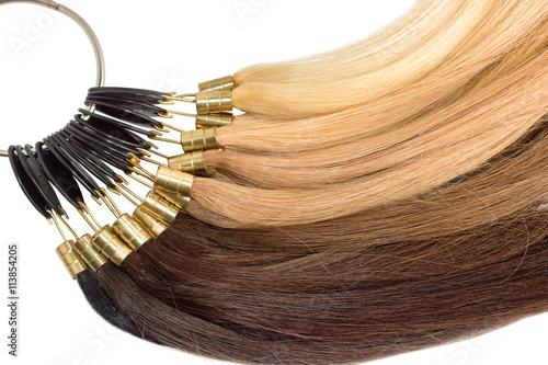 Premium hair extension palette with color samples from blonde to