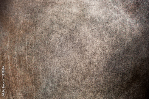 bull skin background or texture