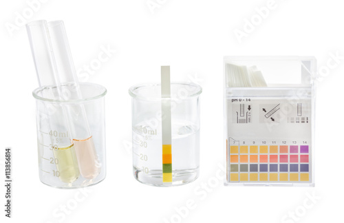 pH paper indicators and tube solution test