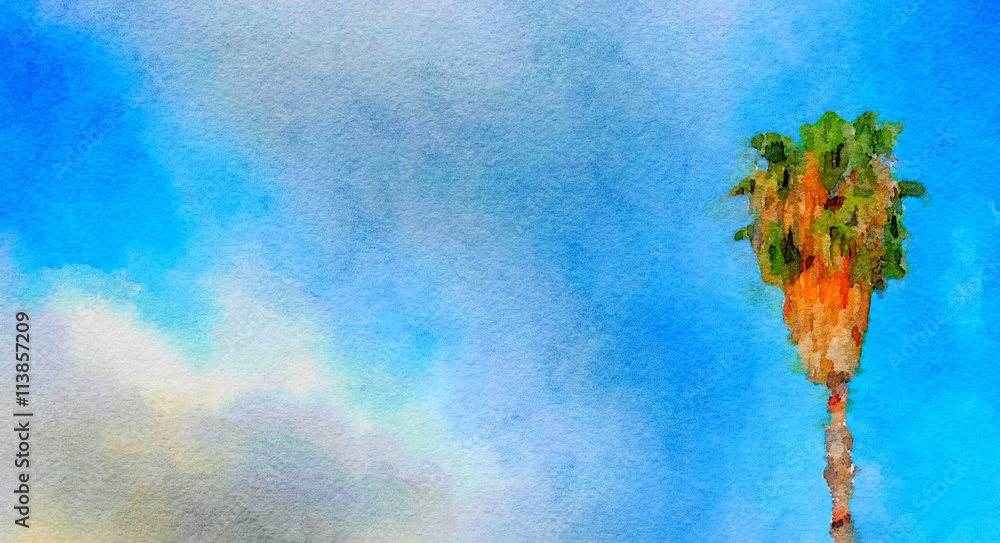 Obraz premium Palm Tree California Desert