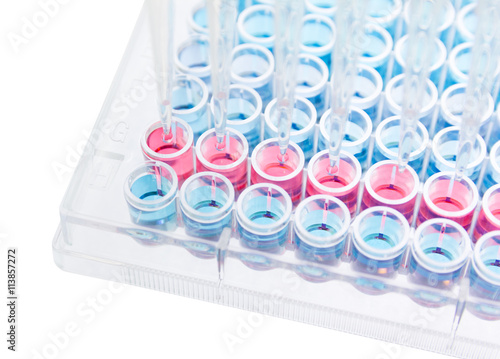 pipette test sample research test lab