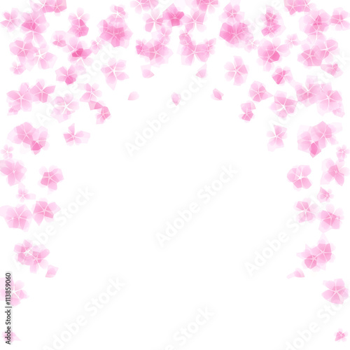 花　花びら　ピンク