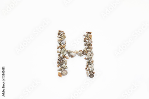 The letter "H" made from seashells