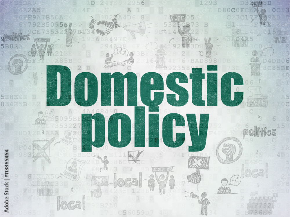 Politics concept: Domestic Policy on Digital Data Paper background Politics concept: Domestic Policy on Digital Data Paper background