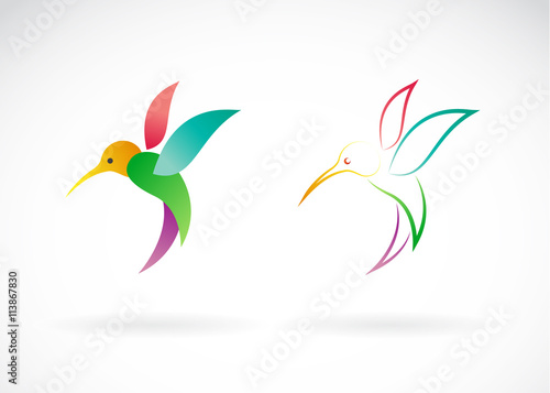 Vector image of an hummingbird design on white background, / Vec