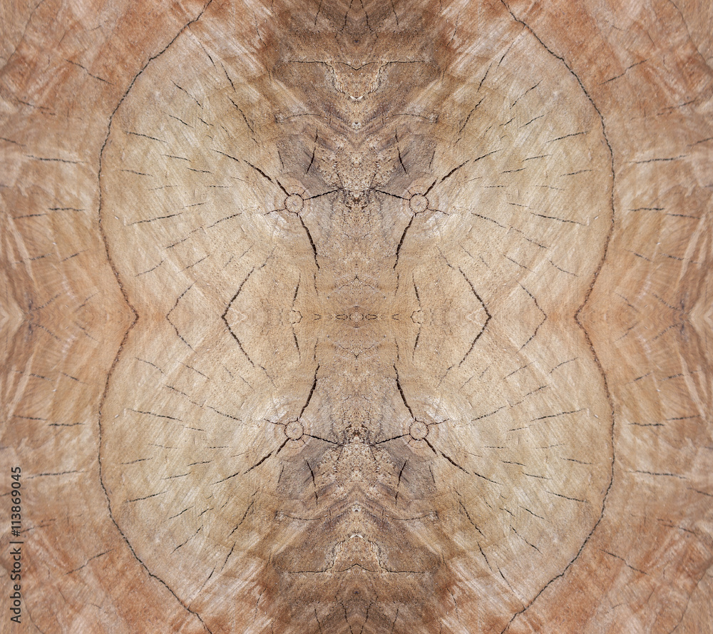 Fototapeta premium Tree stump cut, wooden background