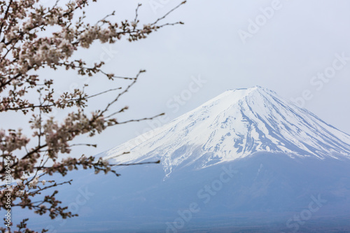 Mount fuji at Lake kawaguchiko in the morning. photo