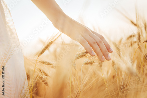 Young girl walking through field and touches wheat.