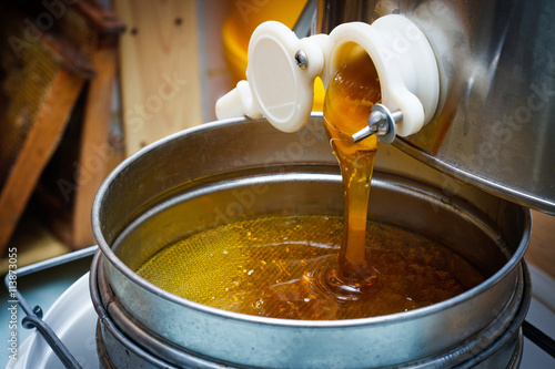 Honey extraction photo
