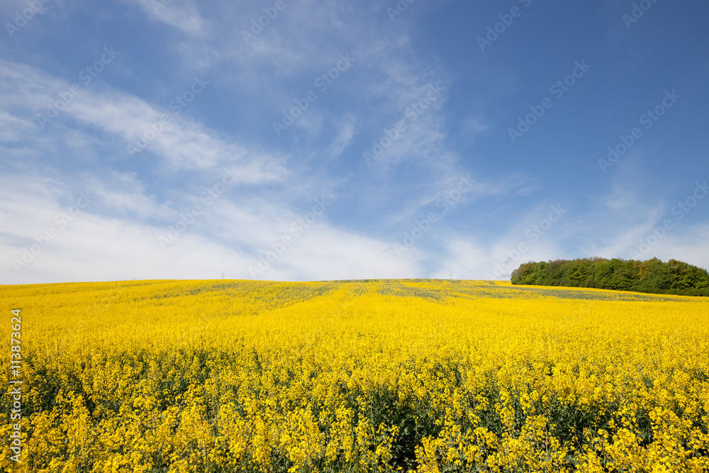 Beautiful countryside landscape