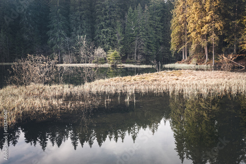 Mountain lake at spring morning photo