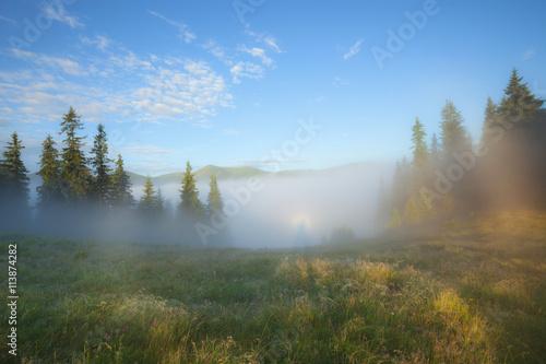 Foggy morning summer countryside landscape