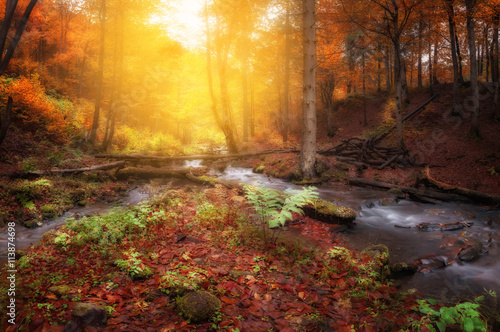 Creek at autumn forest © Nickolay Khoroshkov