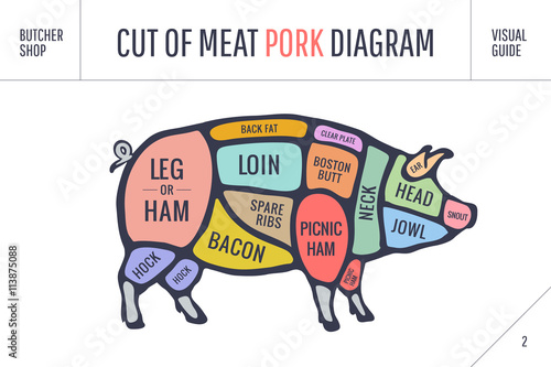 Cut of meat set. Poster Butcher diagram, scheme and guide - Pork. Colorful vintage typographic hand-drawn on white background for butcher shop. Vector illustration