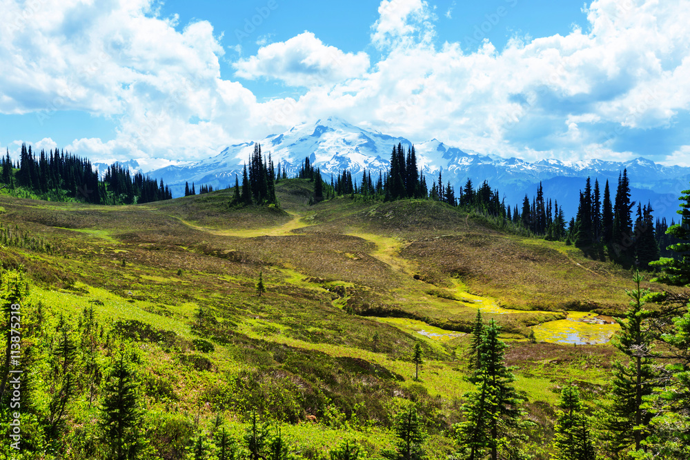 Obraz premium Glacier peak