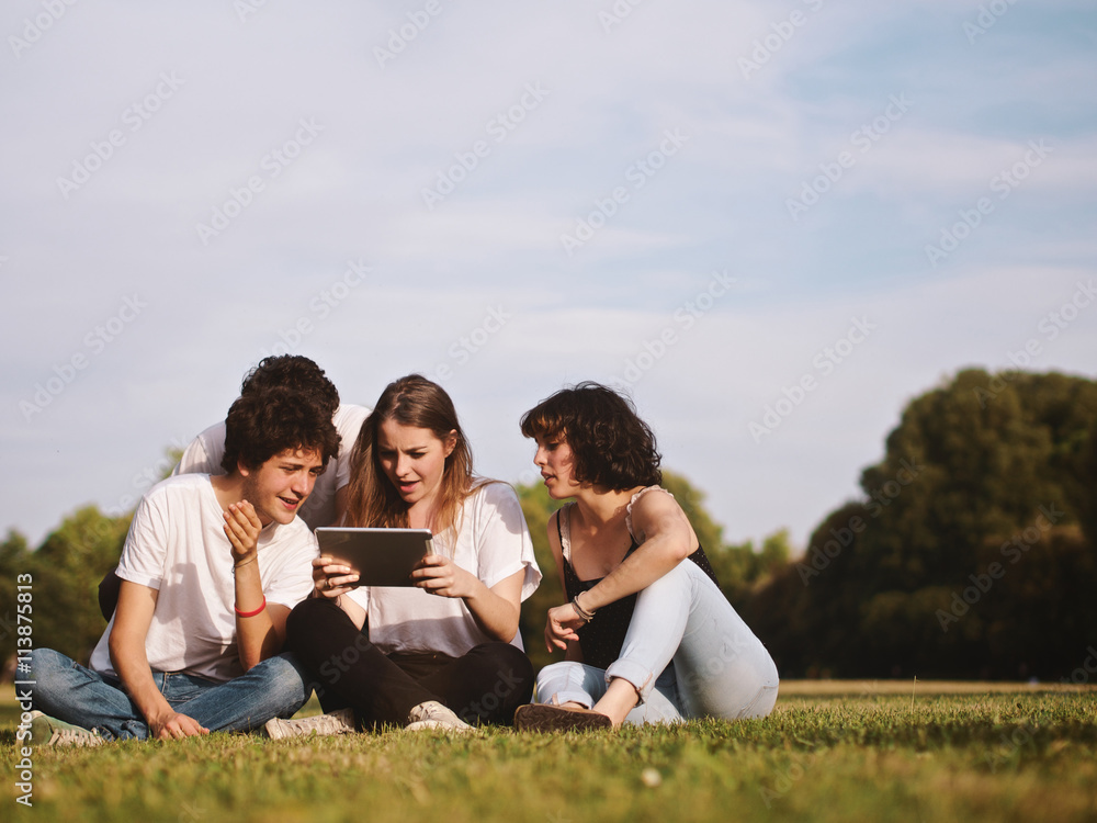 large group of friends together in a park using a tablet large group of friends together in a park using a tablet