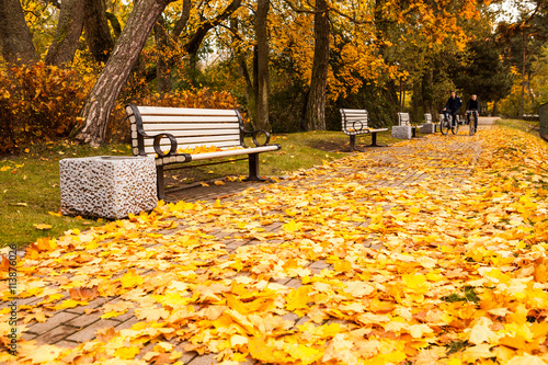 Golden autumn in city park photo