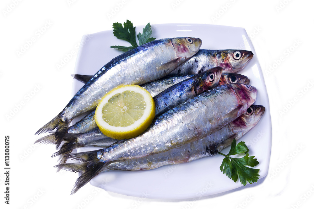 fish, sardines dish fish, sardines dish