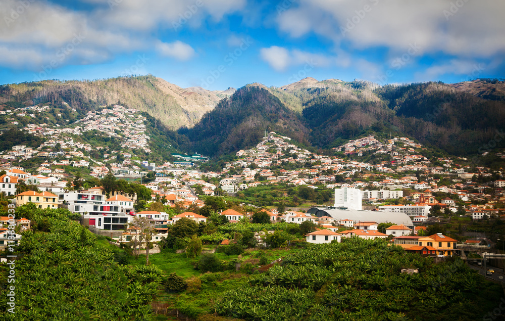 small white houses in the Funchal's suburbs