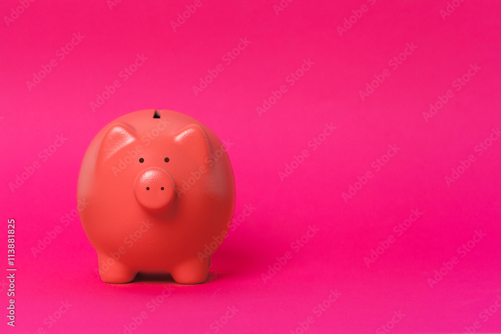 Beautiful ceramic piggy coin bank, money savings concept