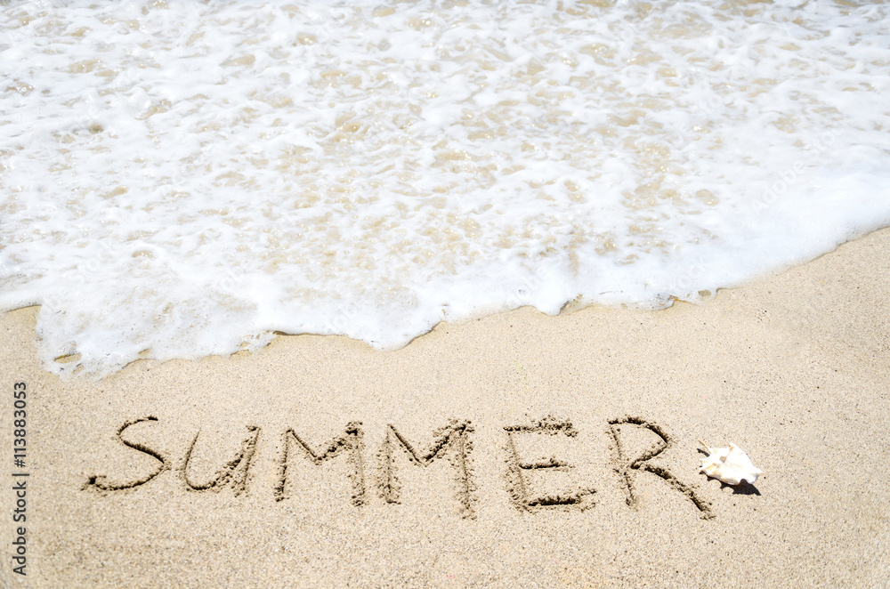 Fototapeta premium Summer background on the beach