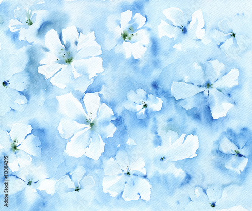 niebieskie-tlo-z-bialymi-kwiatami-na-papierze-z-tekstura