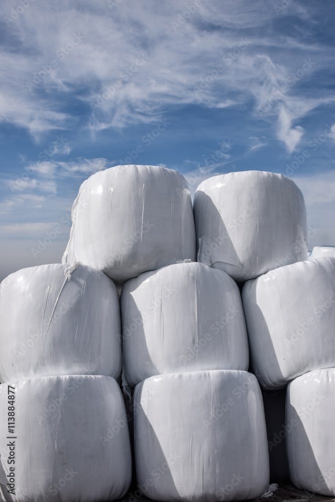 Stack of hay bales wrapped in white plastic on a sunny day Stack of hay bales wrapped in white plastic on a sunny day