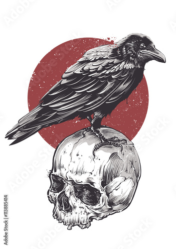 Raven on Skull