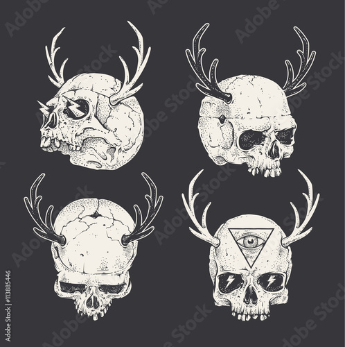 Horned Skulls