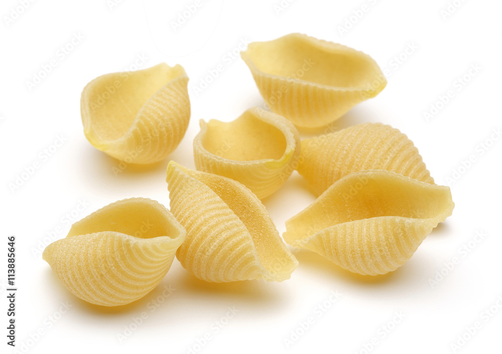 Conchiglie Conchiglie