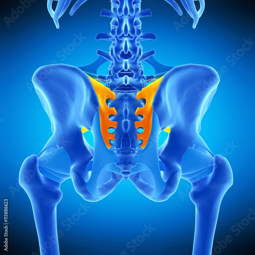 medically accurate illustration of the sacroiliac ligament photo