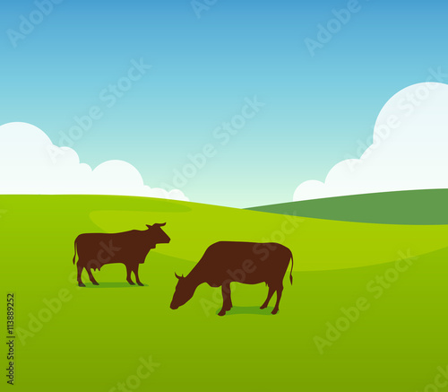 Cows on Green Field Pasture
