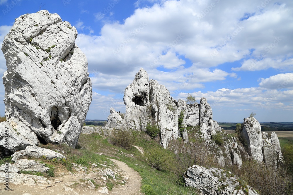Limestone rocks.